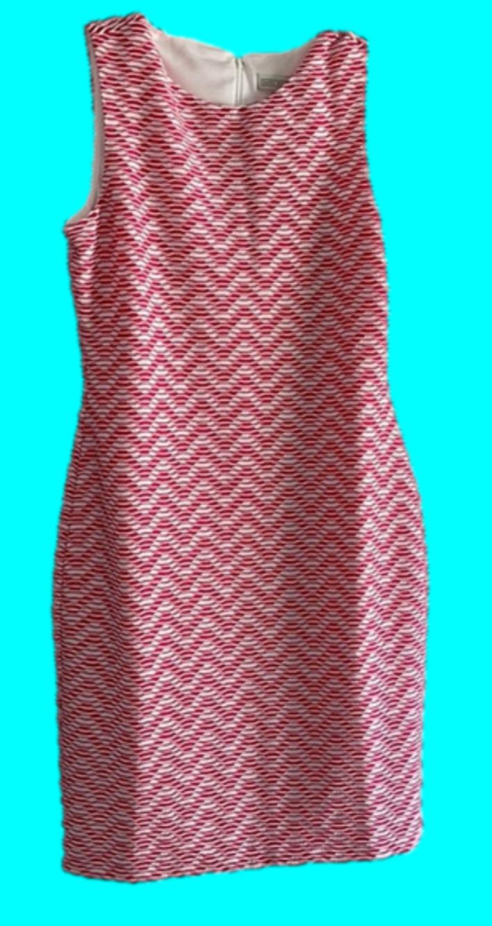 NWT Dana Buchman dress 10